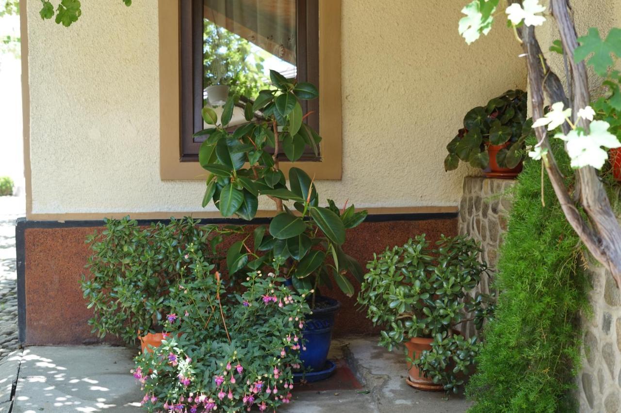 Casa Ciortea Ana Sibiel Zewnętrze zdjęcie