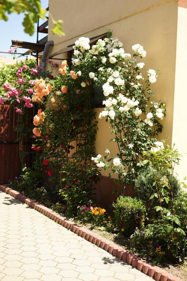 Casa Ciortea Ana Sibiel Zewnętrze zdjęcie